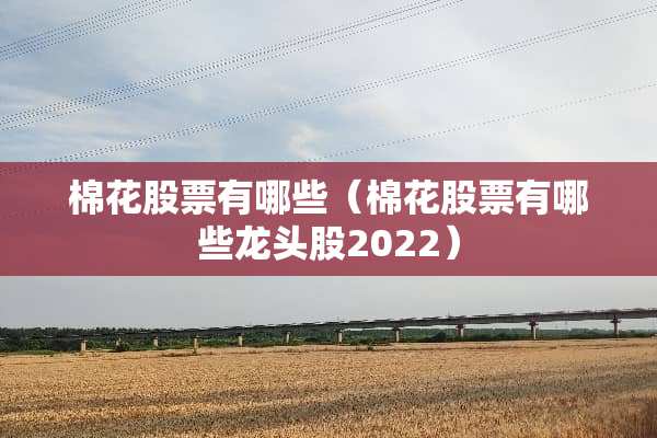 棉花股票有哪些（棉花股票有哪些龙头股2022）