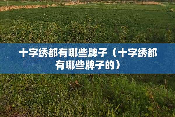 十字绣都有哪些牌子（十字绣都有哪些牌子的）