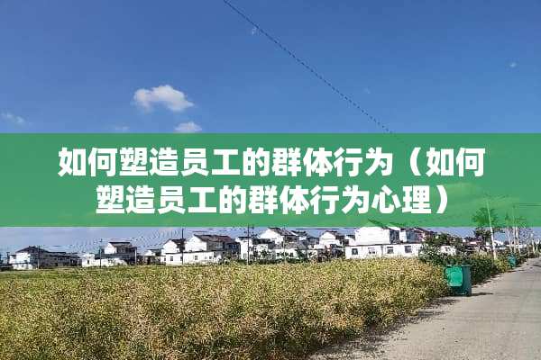 如何塑造员工的群体行为（如何塑造员工的群体行为心理）