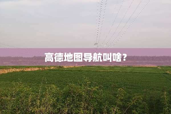 高德地图导航叫啥？