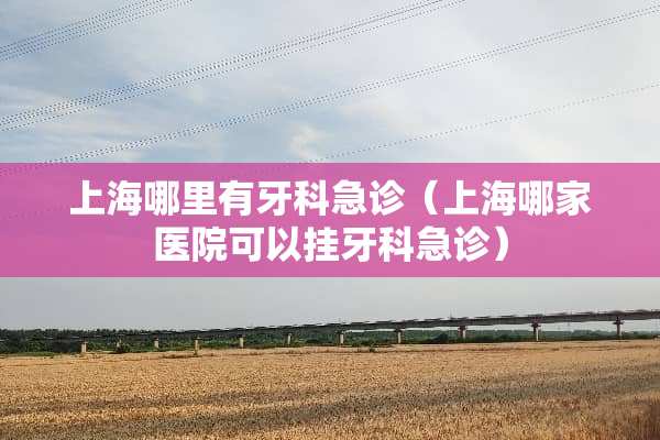 上海哪里有牙科急诊（上海哪家医院可以挂牙科急诊）