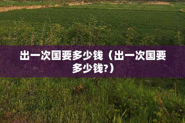 出一次国要多少钱（出一次国要多少钱?）