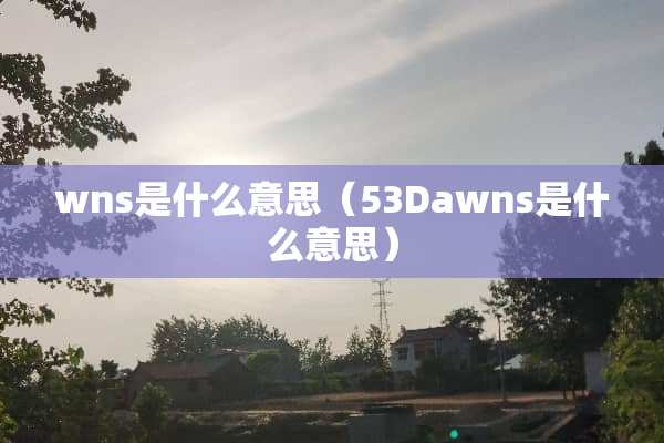 wns是什么意思（53Dawns是什么意思）
