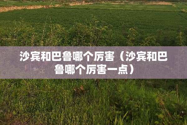 沙宾和巴鲁哪个厉害（沙宾和巴鲁哪个厉害一点）