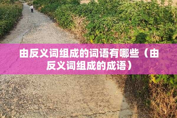 由反义词组成的词语有哪些（由反义词组成的成语）