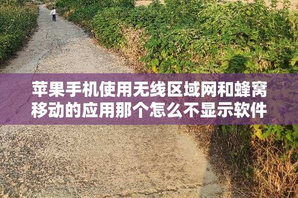 苹果手机使用无线区域网和蜂窝移动的应用那个怎么不显示软件了？