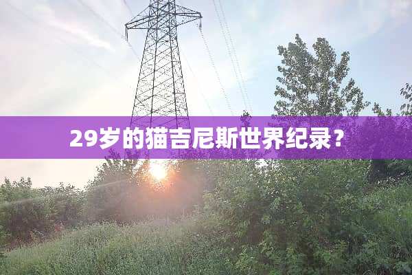 29岁的猫吉尼斯世界纪录？