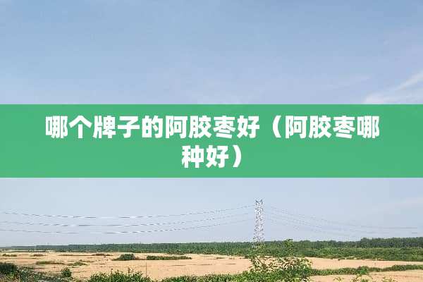 哪个牌子的阿胶枣好（阿胶枣哪种好）