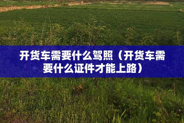 开货车需要什么驾照（开货车需要什么**才能上路）