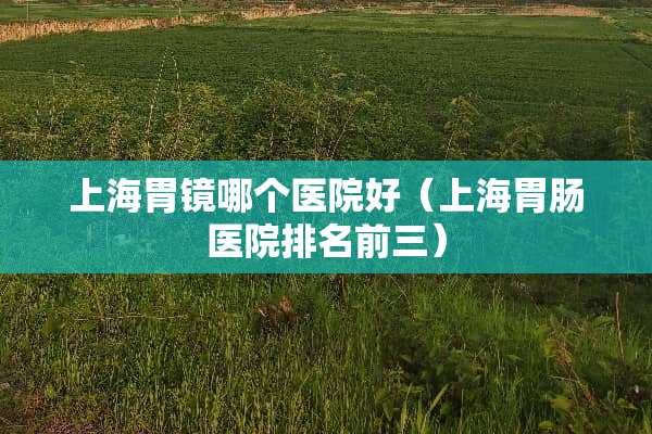 上海胃镜哪个医院好（上海胃肠医院排名前三）