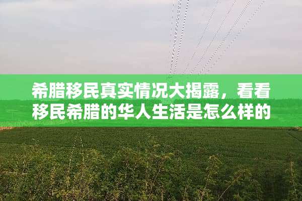 希腊移民真实情况***，看看移民希腊的华人生活是怎么样的？