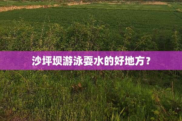 沙坪坝游泳耍水的好地方？