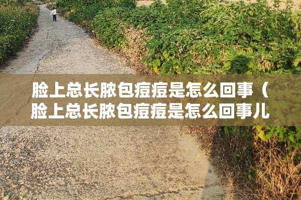 脸上总长脓包痘痘是怎么回事（脸上总长脓包痘痘是怎么回事儿）