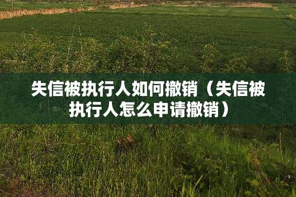 失信被执行人如何撤销（失信被执行人怎么申请撤销）