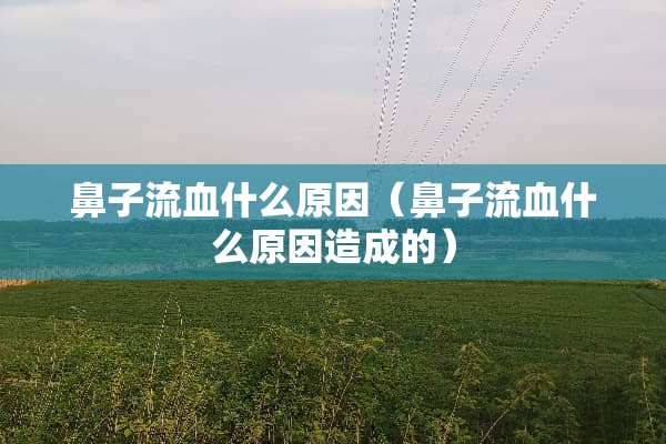 鼻子流血什么原因（鼻子流血什么原因造成的）
