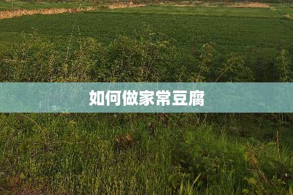 如何做家常豆腐