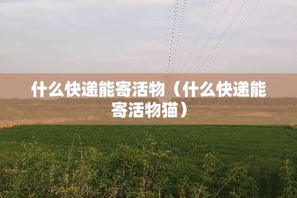 什么快递能寄活物（什么快递能寄活物猫）