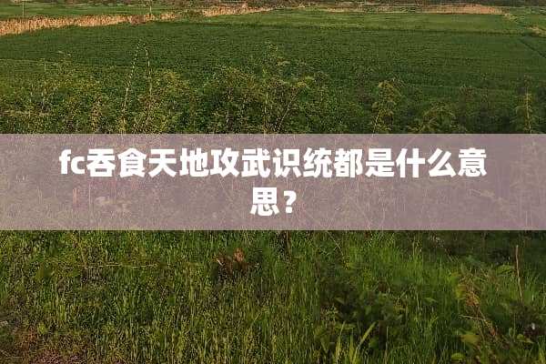 fc吞食天地攻武识统都是什么意思？