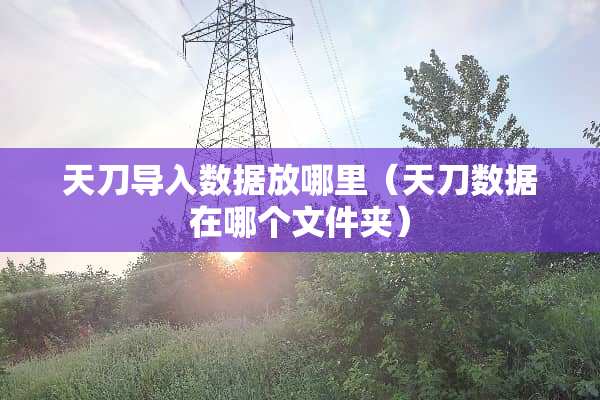 天刀导入数据放哪里（天刀数据在哪个文件夹）