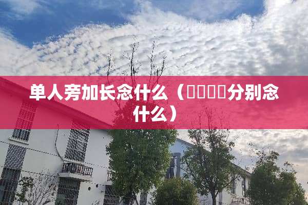 单人旁加长念什么（屲冚仚屳分别念什么）