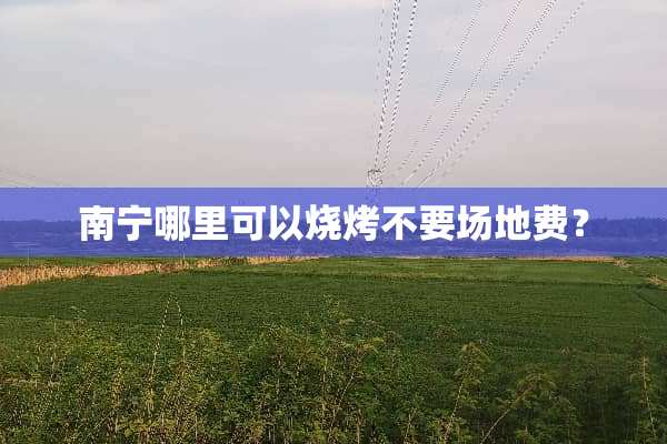 南宁哪里可以烧烤不要场地费？
