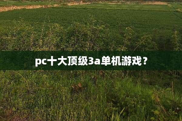 pc十大**3a单机游戏？
