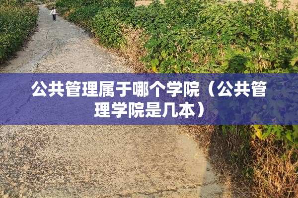 公共管理属于哪个学院（公共管理学院是几本）