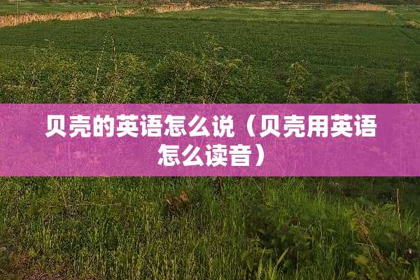 贝壳的英语怎么说（贝壳用英语怎么读音）