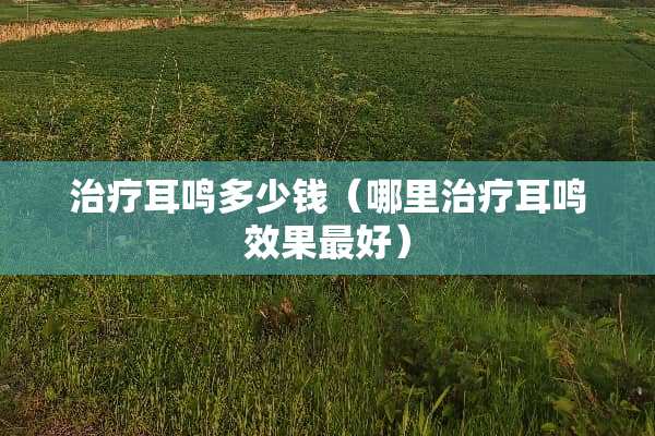 治疗耳鸣多少钱（哪里治疗耳鸣效果最好）
