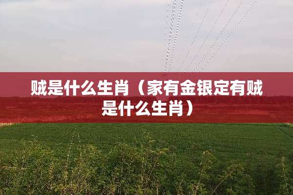 贼是什么生肖（家有金银定有贼是什么生肖）