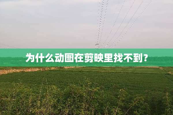 为什么动图在剪映里找不到？