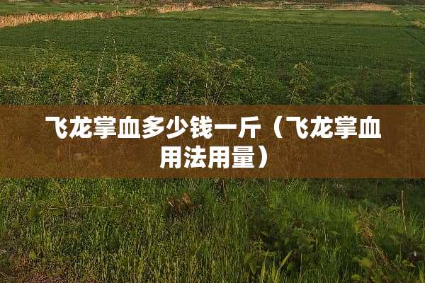 飞龙掌血多少钱一斤（飞龙掌血用法用量）