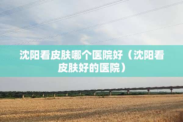 沈阳看皮肤哪个医院好（沈阳看皮肤好的医院）