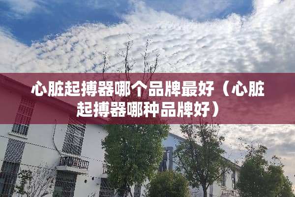 心脏起搏器哪个品牌最好（心脏起搏器哪种品牌好）