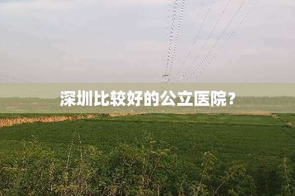深圳比较好的公立医院？