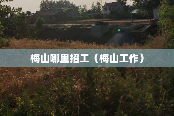 梅山哪里招工（梅山工作）