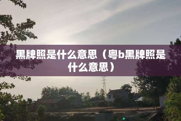 黑牌照是什么意思（粤b黑牌照是什么意思）