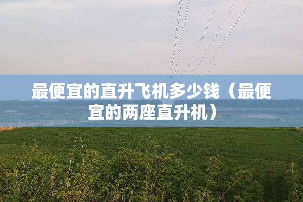 最便宜的直升飞机多少钱（最便宜的两座直升机）