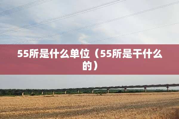55所是什么单位（55所是干什么的）