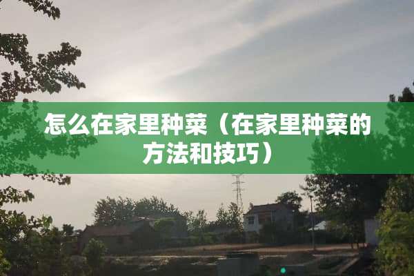 怎么在家里种菜（在家里种菜的方法和技巧）