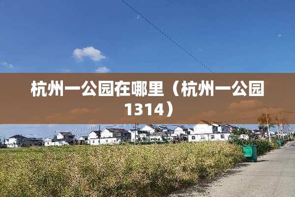 杭州一公园在哪里（杭州一公园1314）