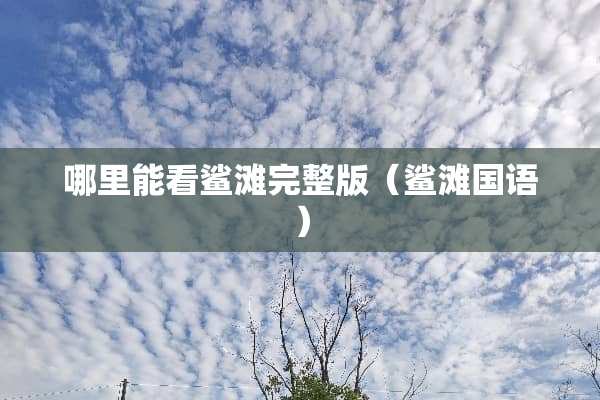 哪里能看鲨滩完整版（鲨滩国语）