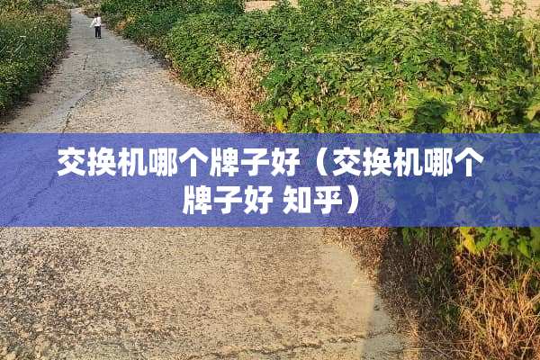 交换机哪个牌子好（交换机哪个牌子好 知乎）