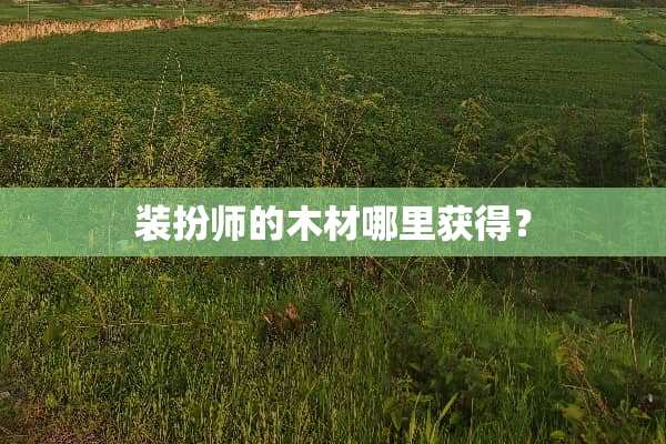 装扮师的木材哪里获得？