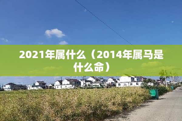 2021年属什么（2014年属马是什么命）