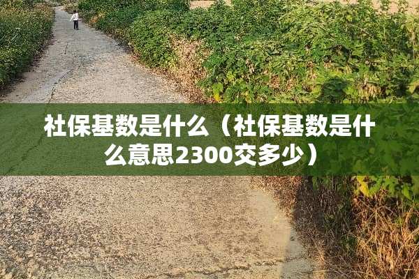 社保基数是什么（社保基数是什么意思2300交多少）