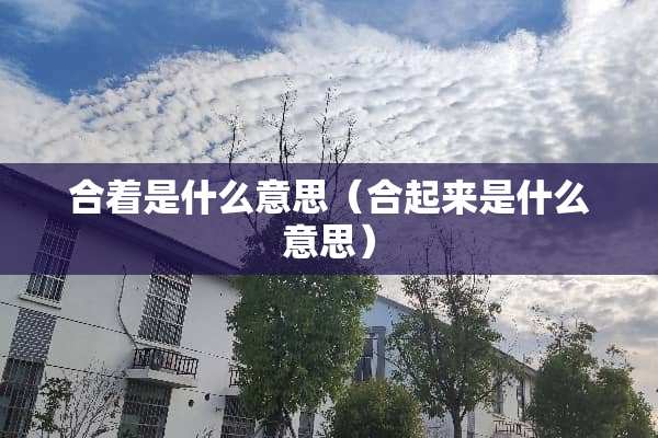 合着是什么意思（合起来是什么意思）
