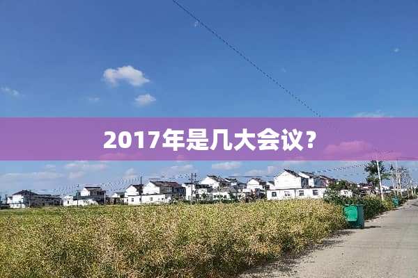 2017年是几大会议？