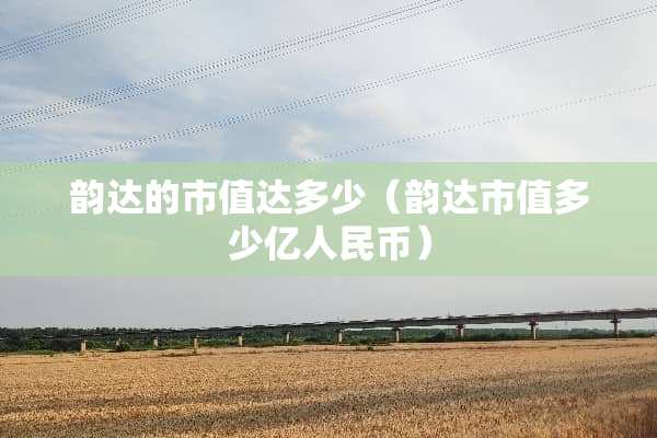 韵达的市值达多少（韵达市值多少亿人民币）