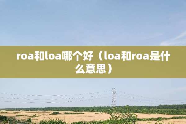 roa和loa哪个好（loa和roa是什么意思）